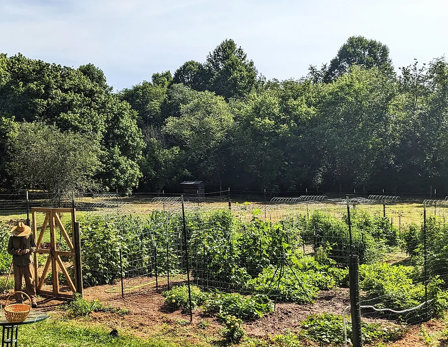 garden layout and farmer