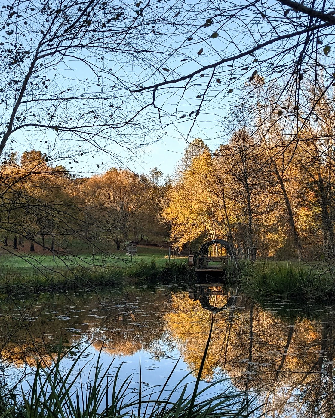 pond reflection of fall leaves and trees and a dock for thanksgiving