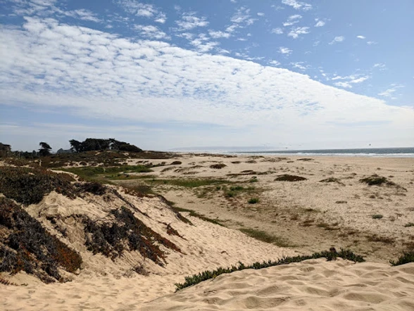 pismo beach dunes