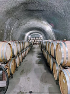 eberle winery cellar