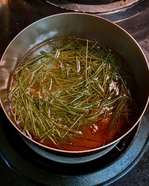 pine needles in a pot of boiling water on stove