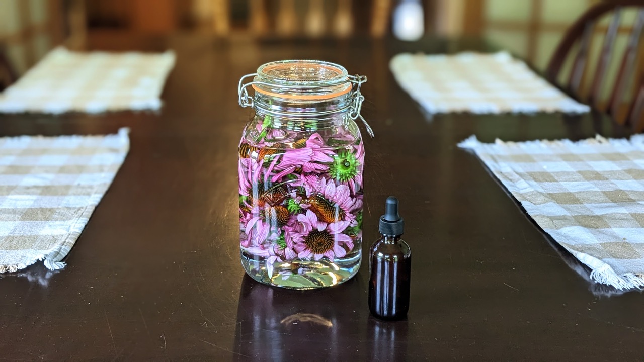 echinacea flowers in a glass jar with a dropper bottle next to it on a kitchen table