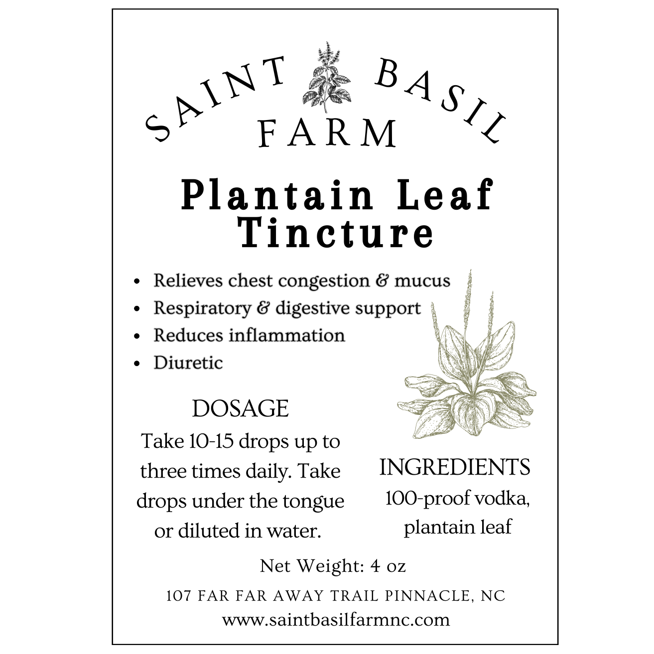 Plantain Leaf Tincture | Cold & Cough Support - Image 3