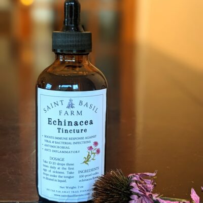 echinacea tincture with echinacea flower