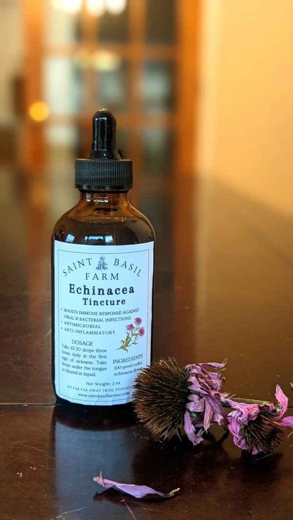 echinacea tincture with echinacea flower