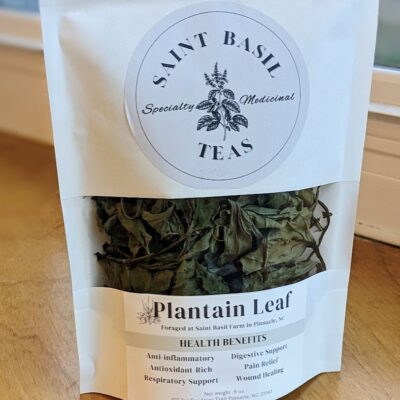 plantain leaf tea