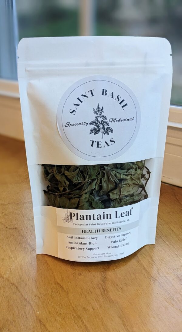 plantain leaf tea