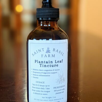 bottle of plantain tincture