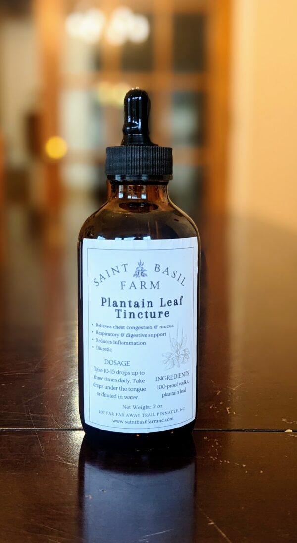 bottle of plantain tincture