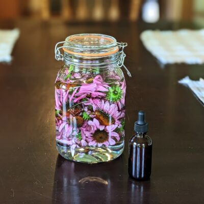 Making Herbal Tinctures -> TBD