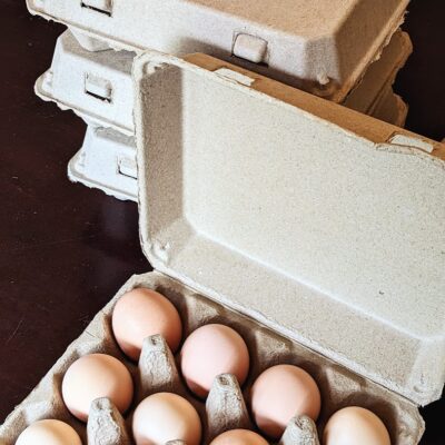 Pasture-raised chicken eggs with brown and cream shells arranged in a cardboard dozen carton at Saint Basil Farm.